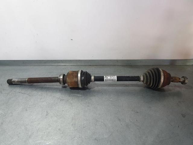 9800387480 Peugeot/Citroen