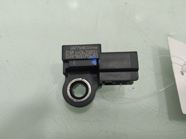 9800395680 Peugeot/Citroen