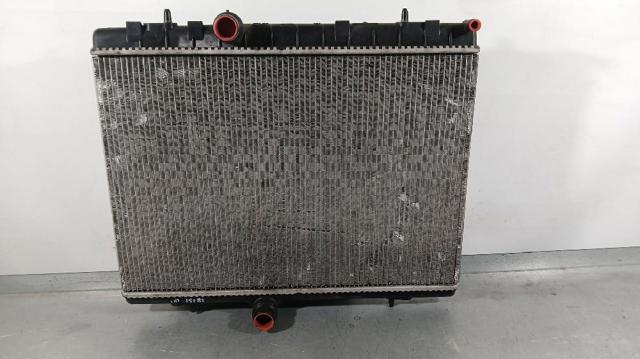 9800482380 Peugeot/Citroen