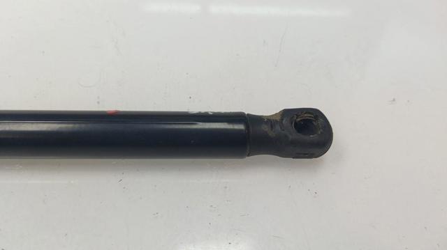 9800717780 PEUGEOT Amortiguador de la tapa del maletero  disponible Alicante
