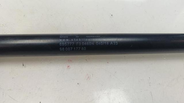 9800717780 Amortiguador de la tapa del maletero  comprar en Zaragoza