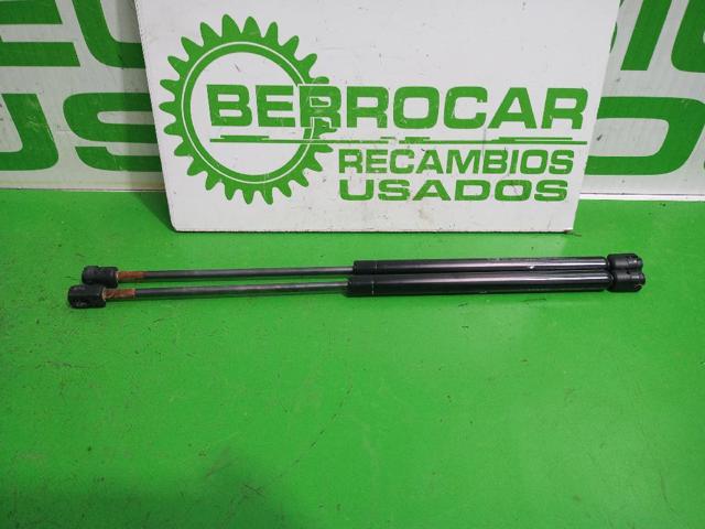 9800717780 PEUGEOT Amortiguador de la tapa del maletero  comprar en Jaén