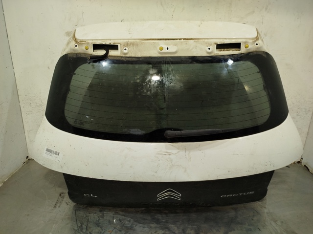 9800805380 Peugeot/Citroen