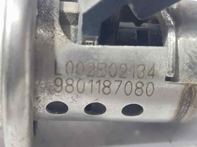 9801187080 PEUGEOT Inyector AdBlue  comprar en Oviedo