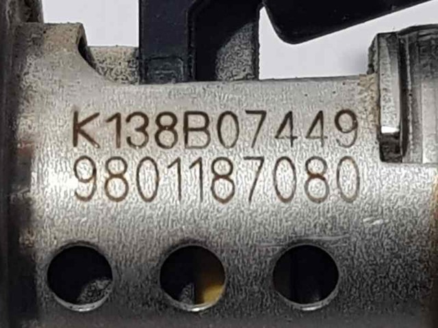 9801187080 PEUGEOT Inyector AdBlue  disponible Ourense