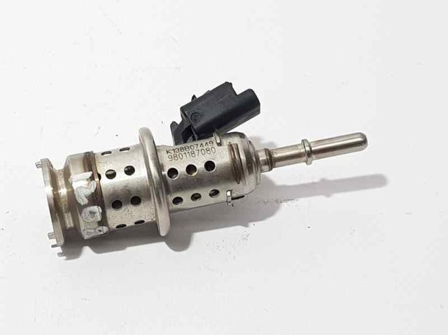 9801187080 PEUGEOT Inyector AdBlue  comprar en Oviedo