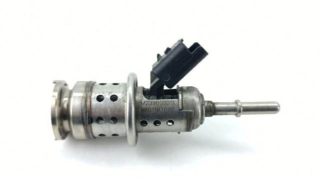 9801187080 Peugeot/Citroen