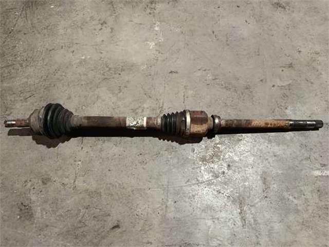 9801618880 Peugeot/Citroen