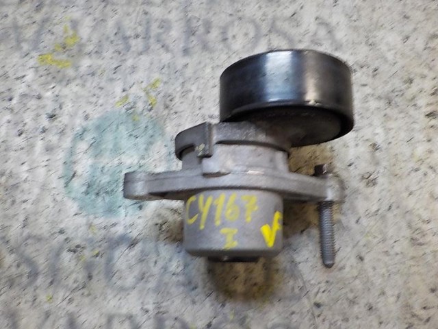9801875280 Tensor de correa poli V  en stock Castellón