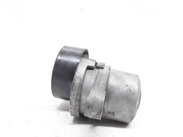 PEUGEOT 9801875280 Tensor de correa, correa poli V  comprar en Albacete