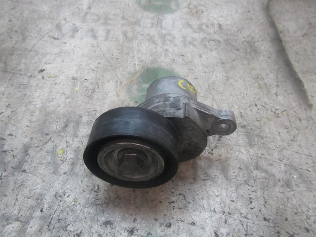 Tensor de la correa trapecial poli v 9801875280 PEUGEOT