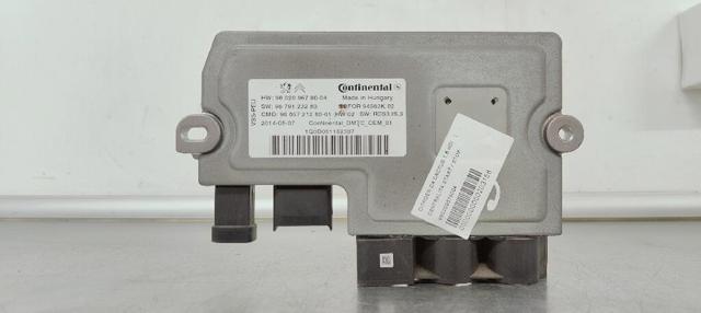 980209678004 Peugeot/Citroen