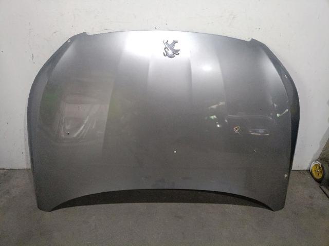 9802163180 Peugeot/Citroen