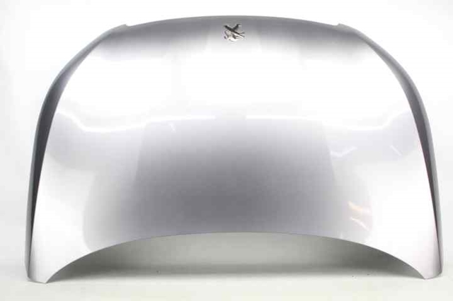 9802163180 Peugeot/Citroen