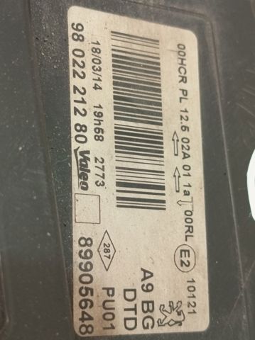 9802221280 Peugeot/Citroen