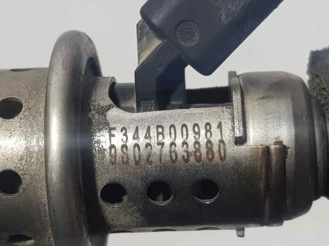 9802763880 Inyector AdBlue  comprar en Pontevedra