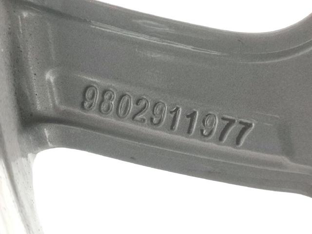 98029119ZV Peugeot/Citroen