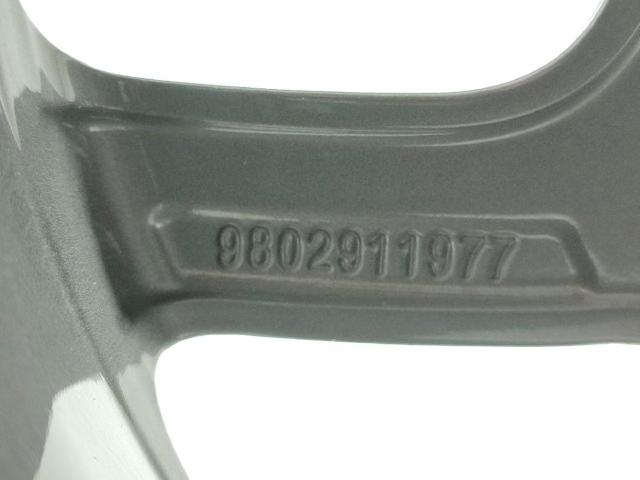98029119ZV Peugeot/Citroen