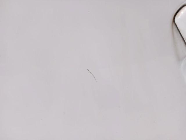 9802969780 Puerta trasera izquierda  en stock Sabadell