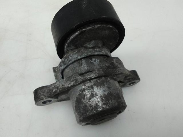 Comprar Tensor de correa poli V Berlingo B9