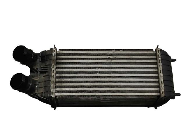 9803900780 Peugeot/Citroen