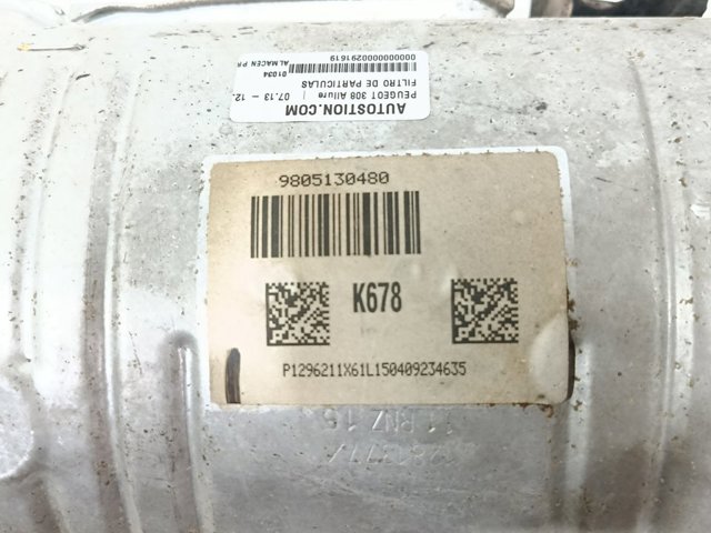 9805130480 Peugeot/Citroen