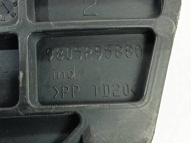 9805295880 Peugeot/Citroen