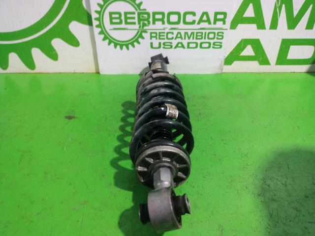 9805434380 PEUGEOT Amortiguador trasero  comprar en Lleida