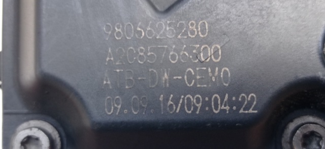 PEUGEOT 9806625280 Cuerpo de aceleración completo  disponible Lugo