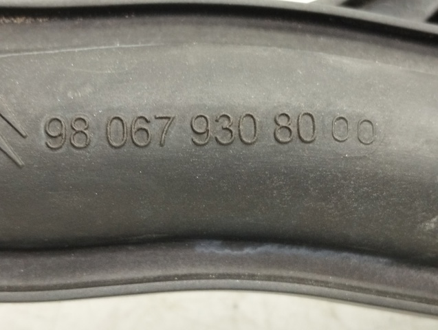9806793080 Peugeot/Citroen