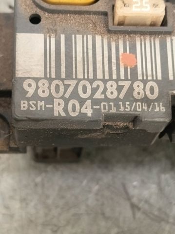 9807028780 Peugeot/Citroen