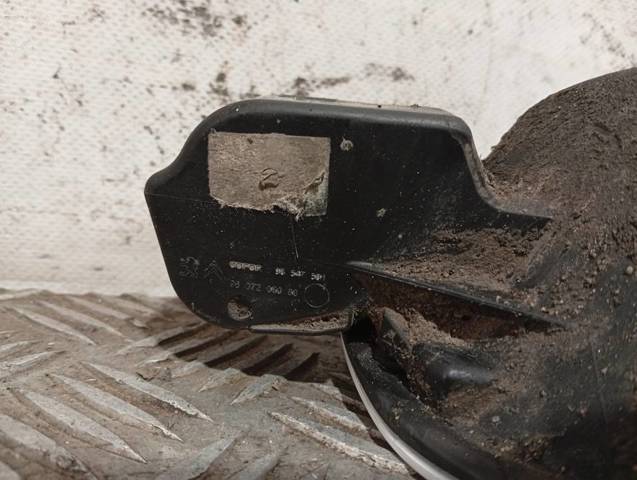9807206080 Peugeot/Citroen