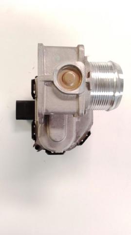 9807238580 Cuerpo de mariposa completo  comprar en Zaragoza