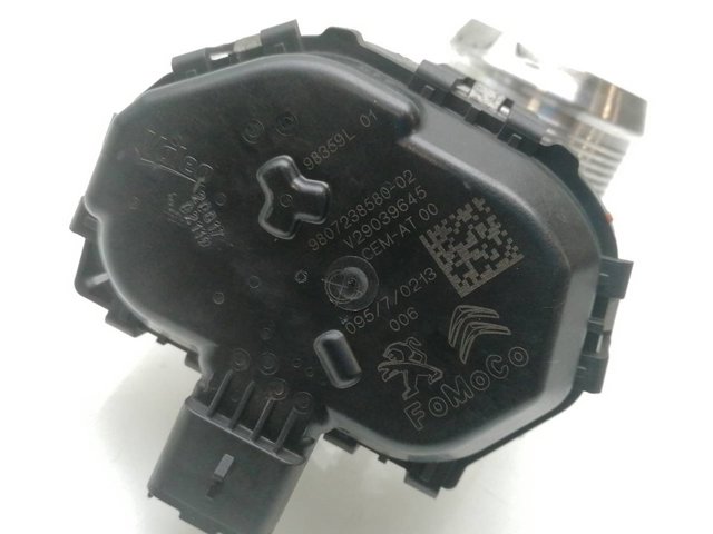 9807238580 Cuerpo de mariposa completo  disponible Málaga