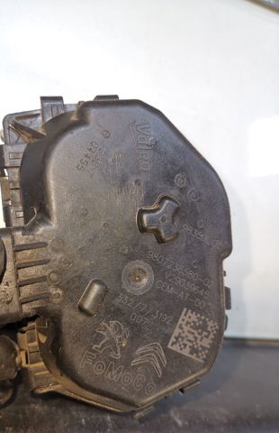 9807238580 Cuerpo de mariposa completo  disponible Málaga