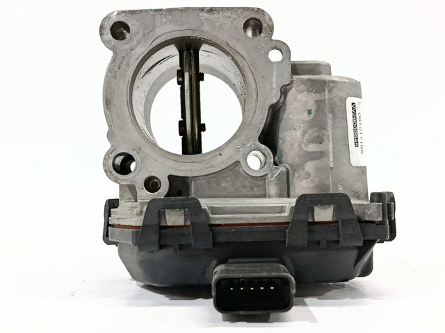 PEUGEOT 9807238580 Cuerpo de mariposa completo  comprar en Ponferrada