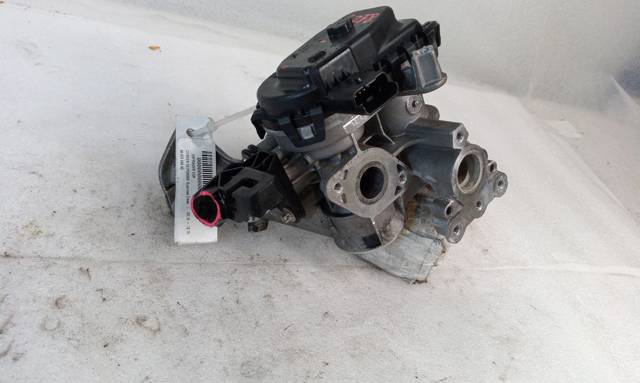 PEUGEOT 9807369980 Válvula EGR de recirculación de gases  comprar en Ponferrada