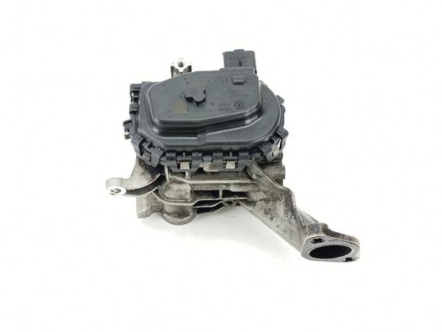9807369980 PEUGEOT Válvula EGR de recirculación de gases  comprar en Oviedo