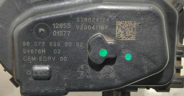 980736998002 Peugeot/Citroen