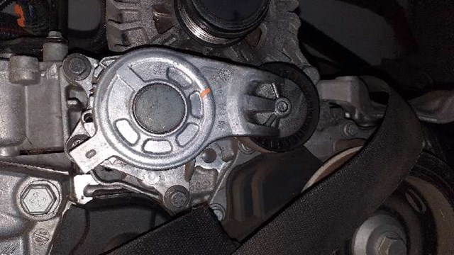 Rodillo, correa trapecial poli V Peugeot 208 CA, CC