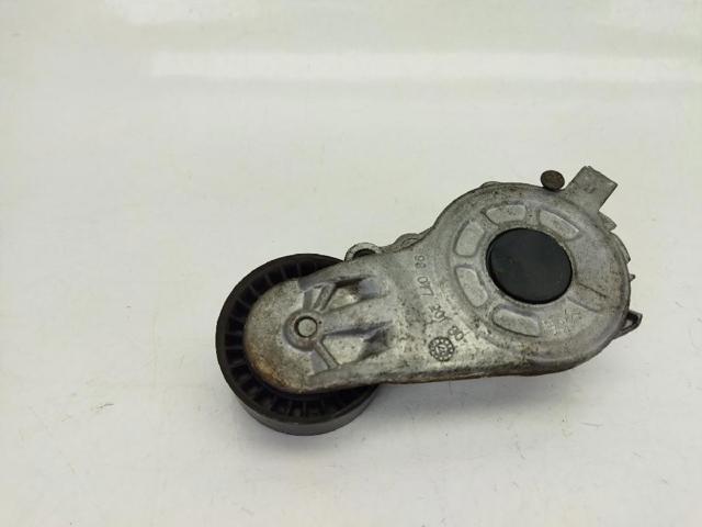 Rodillo, correa trapecial poli V Peugeot 208 CA, CC