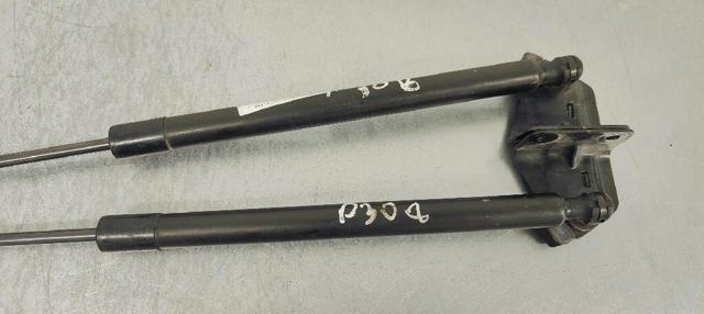 PEUGEOT 9807899380 Amortiguador de la tapa del maletero  comprar en Albacete