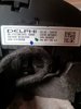 Interruptor de la columna de dirección completo 98081769ZD PEUGEOT