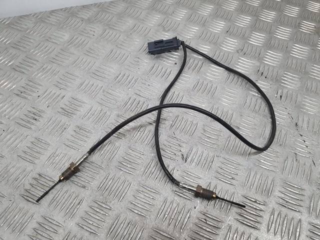 9808312080 Peugeot/Citroen