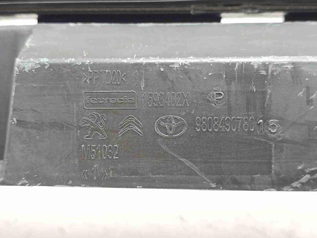 9808490780 Peugeot/Citroen