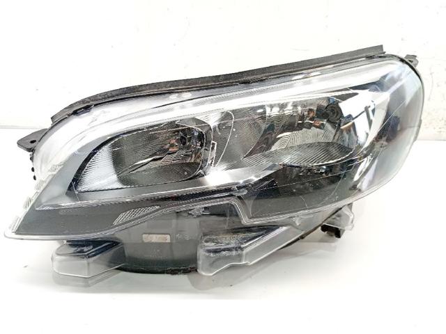 9808572680 Peugeot/Citroen