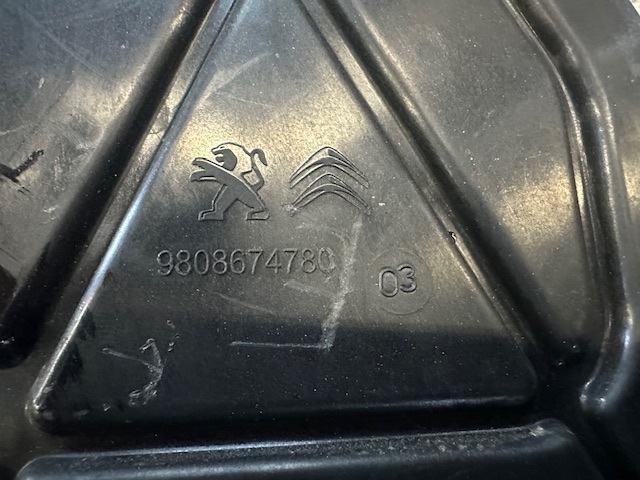 9808674780 Peugeot/Citroen