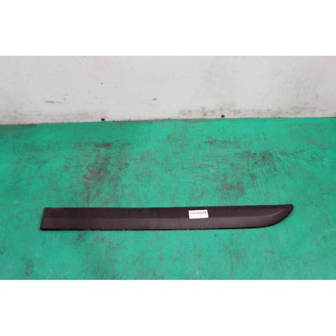 9808748977 Peugeot/Citroen