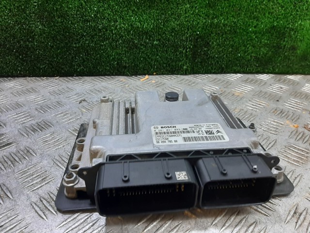 9809478580 Peugeot/Citroen
