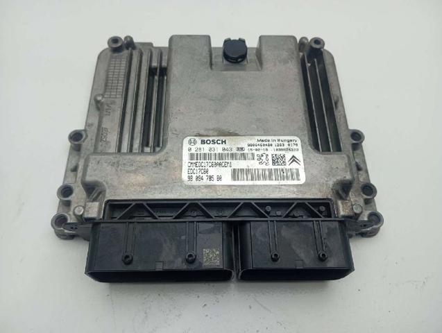 9809478580 Peugeot/Citroen